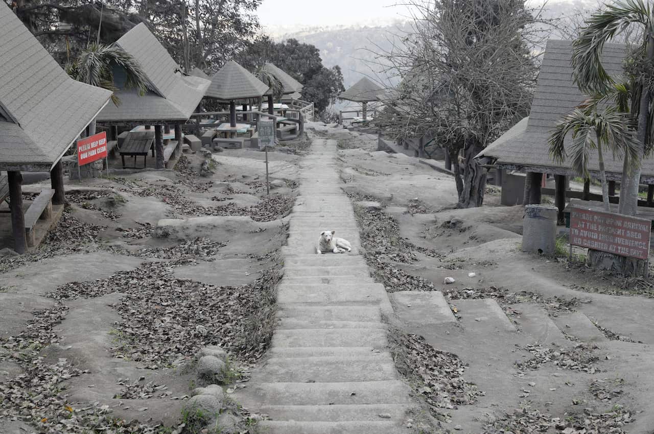 volcanic-ash covered park in a town near Taal volcano, Tagaytay, Cavite province, southern Philippines.