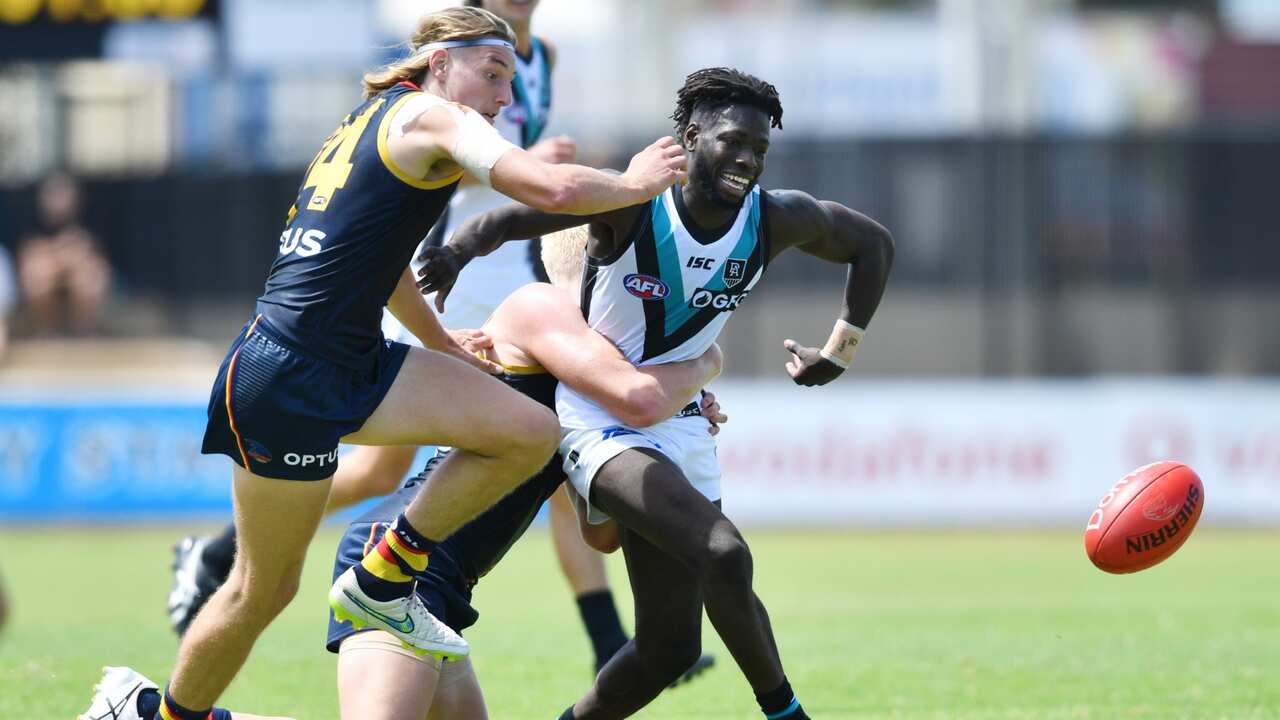 Ben Worrell of the Crows and Martin Frederick of the Power contest the ball during an AFL pre-season hit out match between the Adelaide Crows and the Port Adelaide