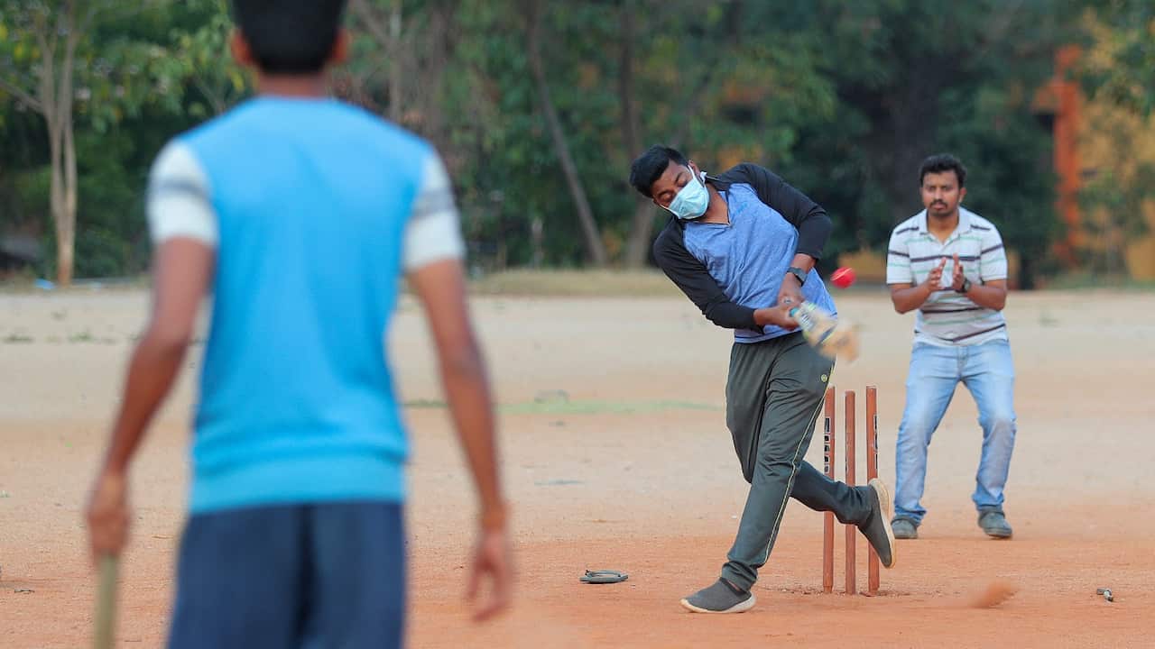 cricket coronavirus