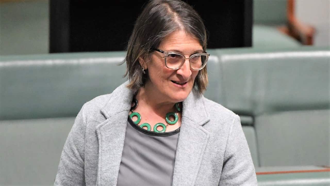 Labor member for Calwell Maria Vamvakinou in the House of Representatives at Parliament House in Canberra, Tuesday, June 16, 2020.