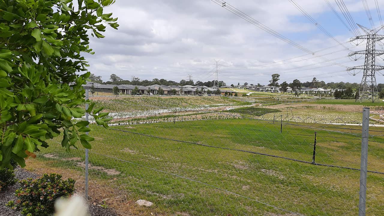 Houses are developing cracks in Jordan springs