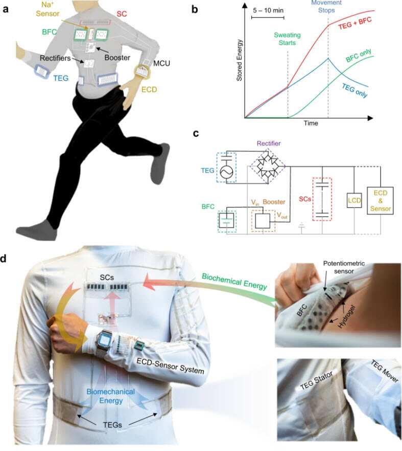A self-sustainable wearable multi-modular E-textile bioenergy microgrid system