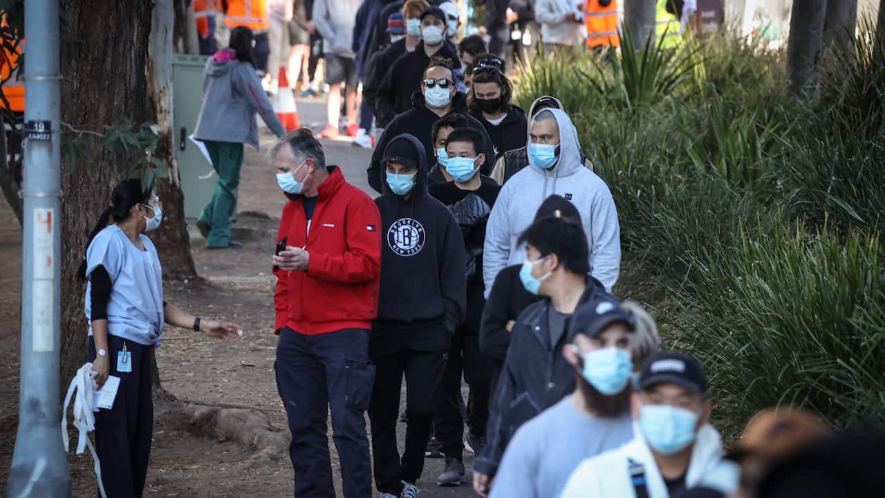 New South Wales has been recording more than 600 cases a day for the past three days.