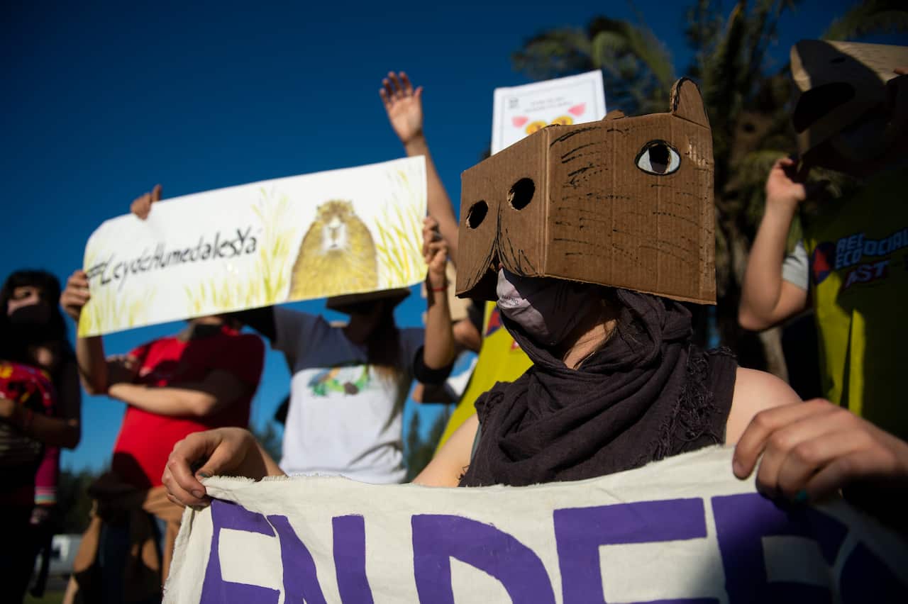 Protesta por el futuro de los carpinchos en Argentina.