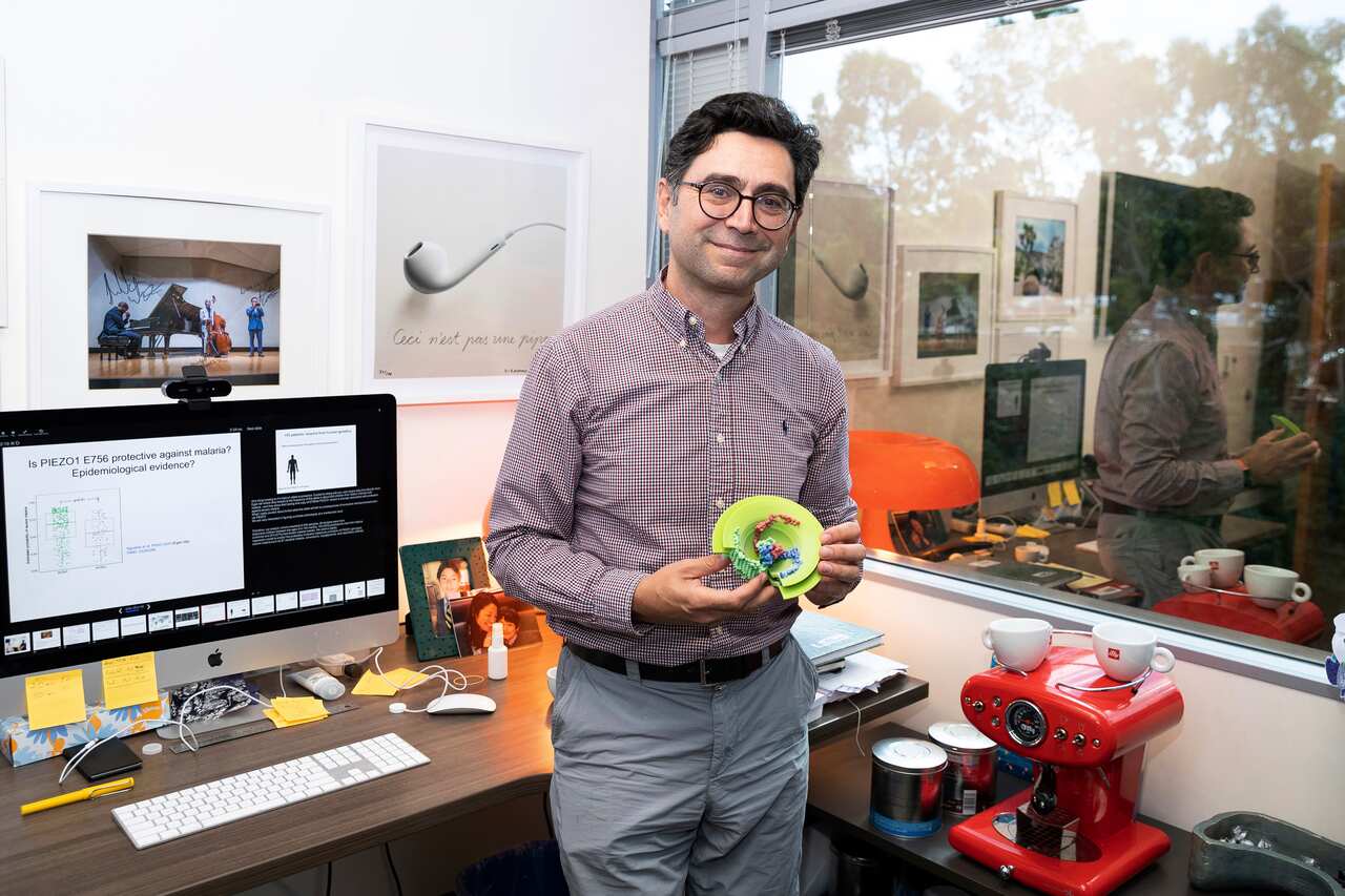 Ardem Patapoutian poses for a portrait in his office while holding a model of the Piezo protein at the Dorris Neuroscience Center, Monday, Oct. 4, 2021, in San Diego. Two scientists, Americans Patapoutian and David Julius, won the Nobel Prize in medicine 