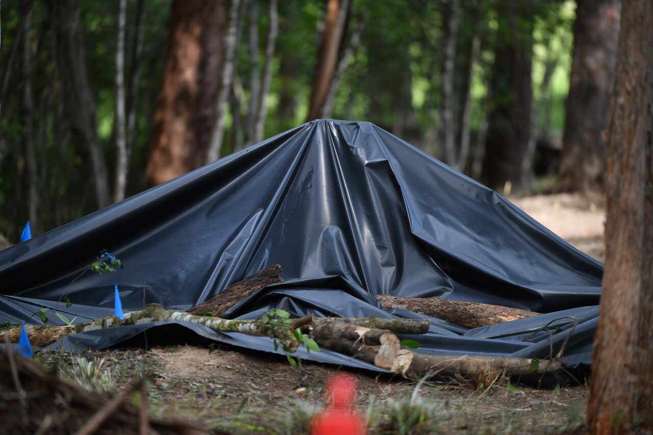 A plastic tarpaulin covers a section of the search area of bush, 1km from the former home of William Tyrrells foster grandmother in Kendall, mid north coast of NSW, Thursday, November 18, 2021. NSW Police are investigating new theories about the mysteriou