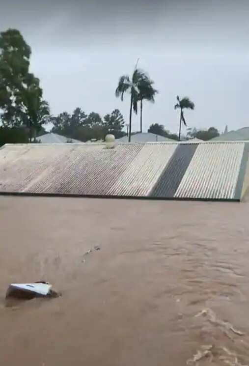 The Wilson family's shed is pictured submerged in floodwaters in Lismore, northern NSW. 