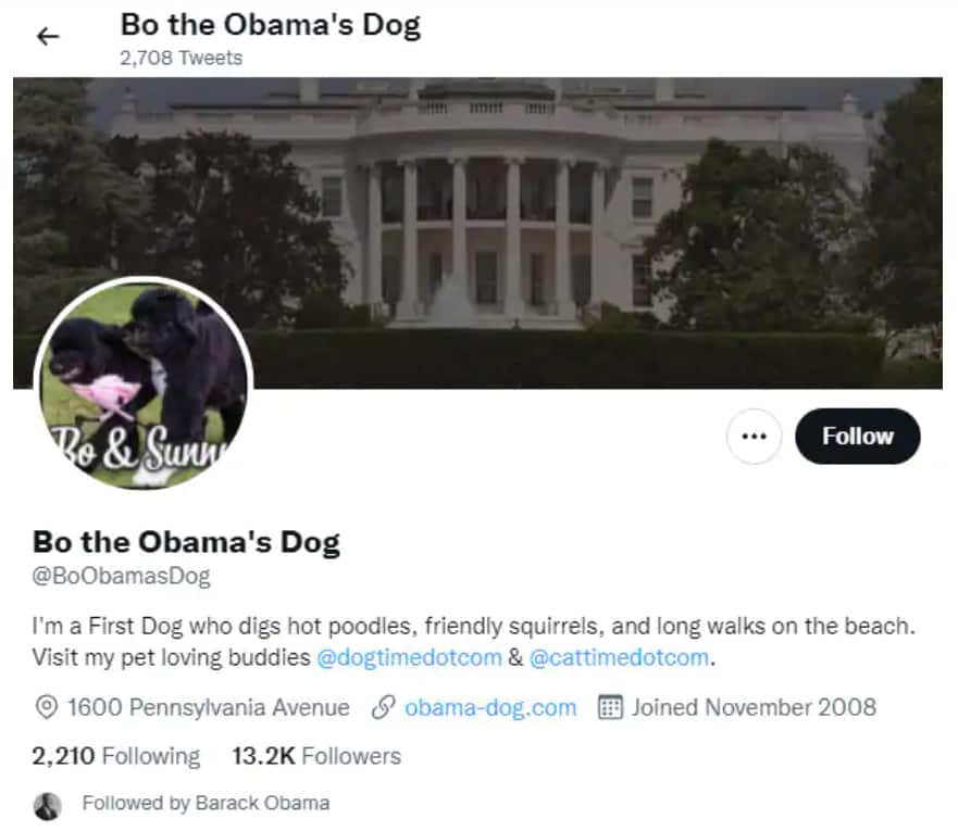A screenshot of the Obama dog Twitter account which is followed by former US president Barack Obama.