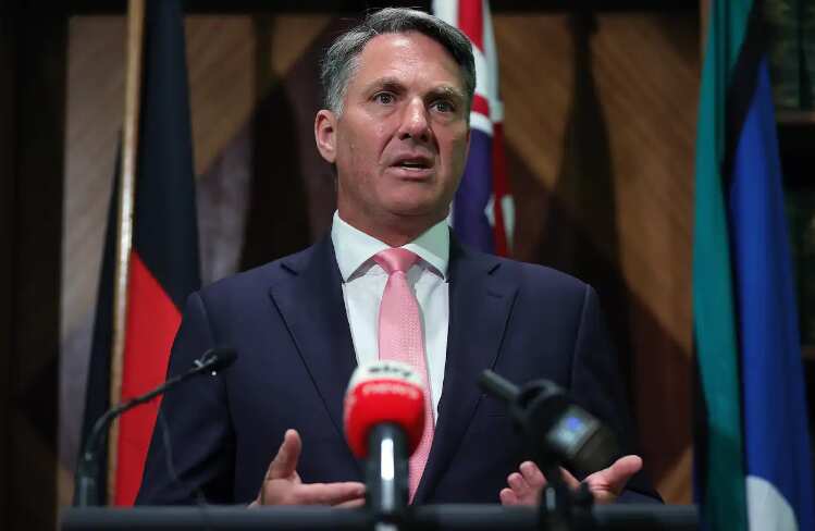 Deputy Prime Minister Richard Marles says changes to the energy grid will take time. 