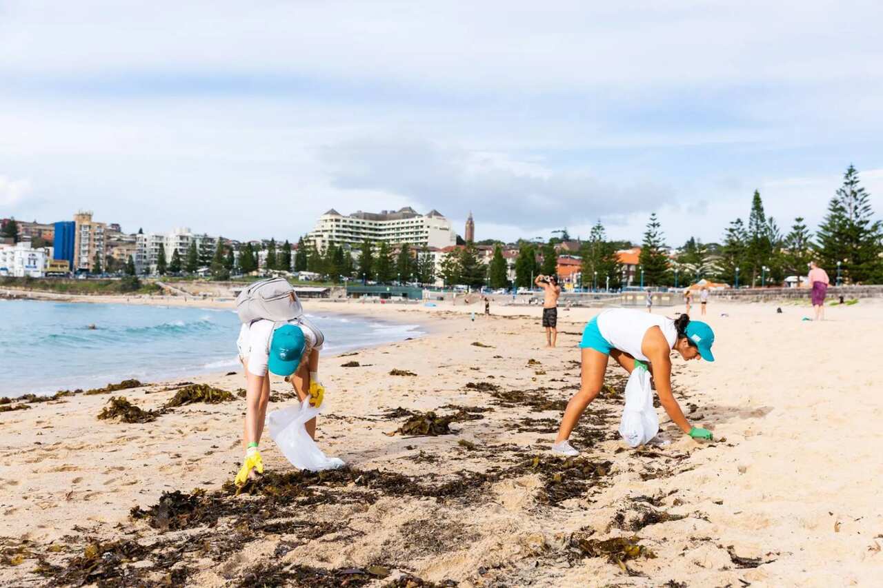 people picking up waste on the beach