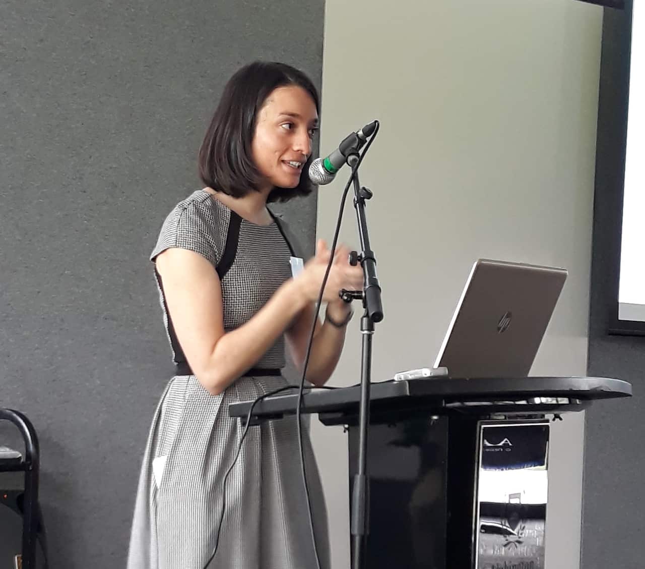 Anita Kolaitis: President of Modern Greek Teachears' Association of Victoria (MGTAV) and a key member of Pharos Working Party. 