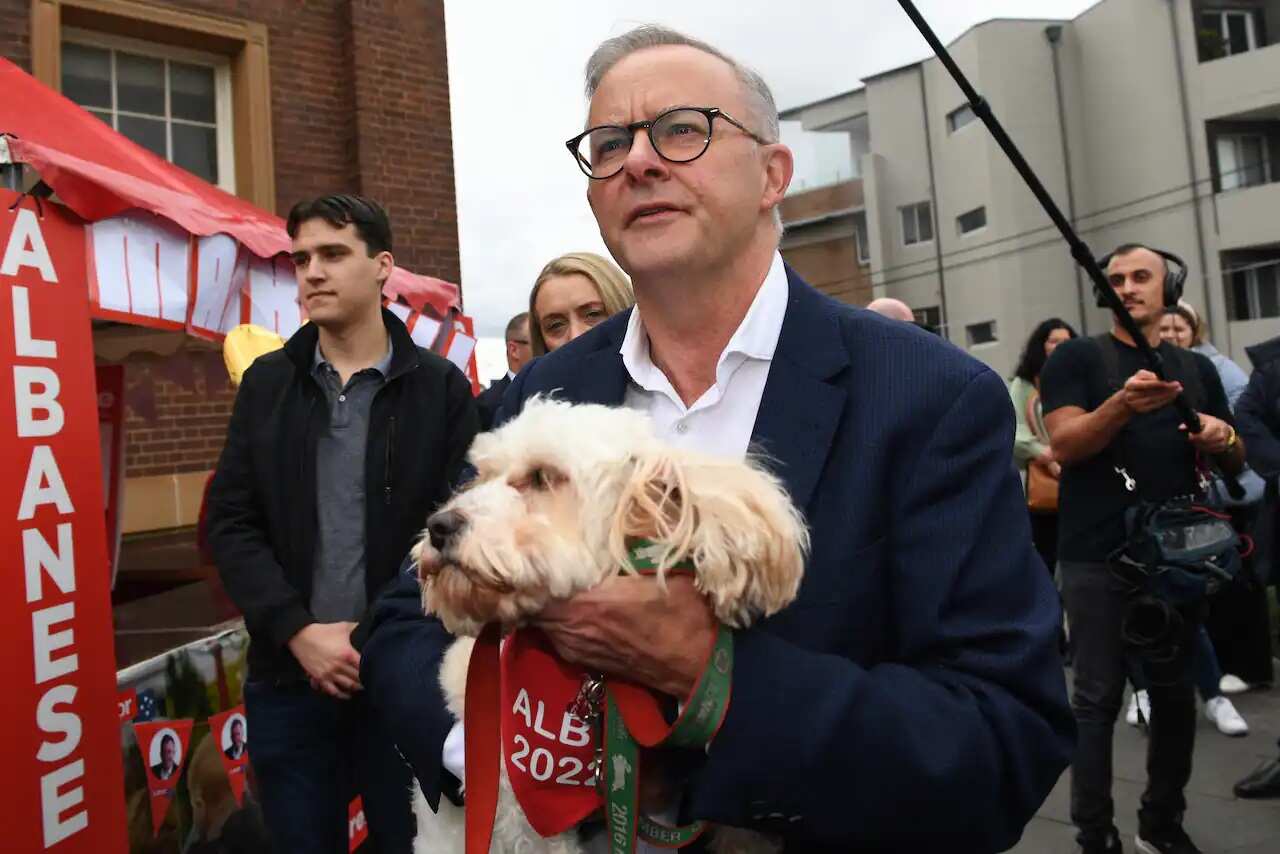 Opposition leader Anthony Albanese with his dog Toto after casting his vote at a polling booth at Marrickville Town Hall on Federal Election day, in the seat of Grayndler, Sydney.