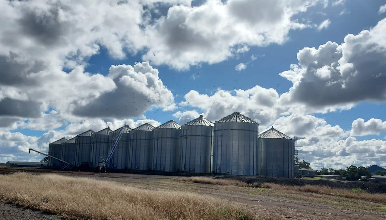 Old Lebanese immigration