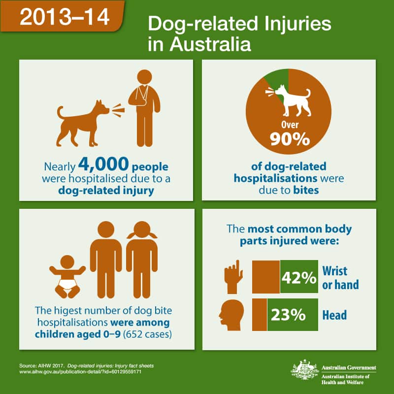 Dog-related injuries in Australia
