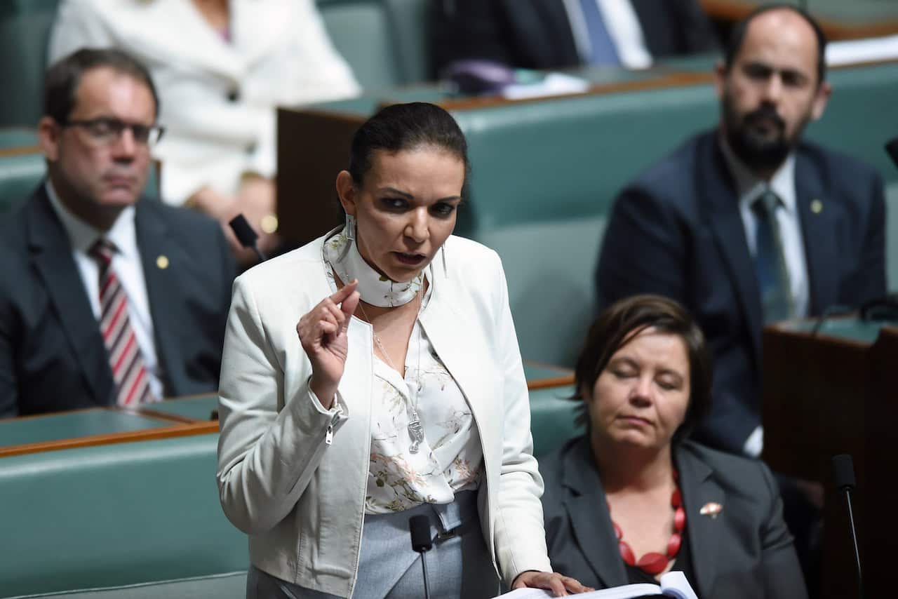  Labor member for Cowan Anne Aly delivers her maiden speech in the House of Representatives at Parliament House in Canberra