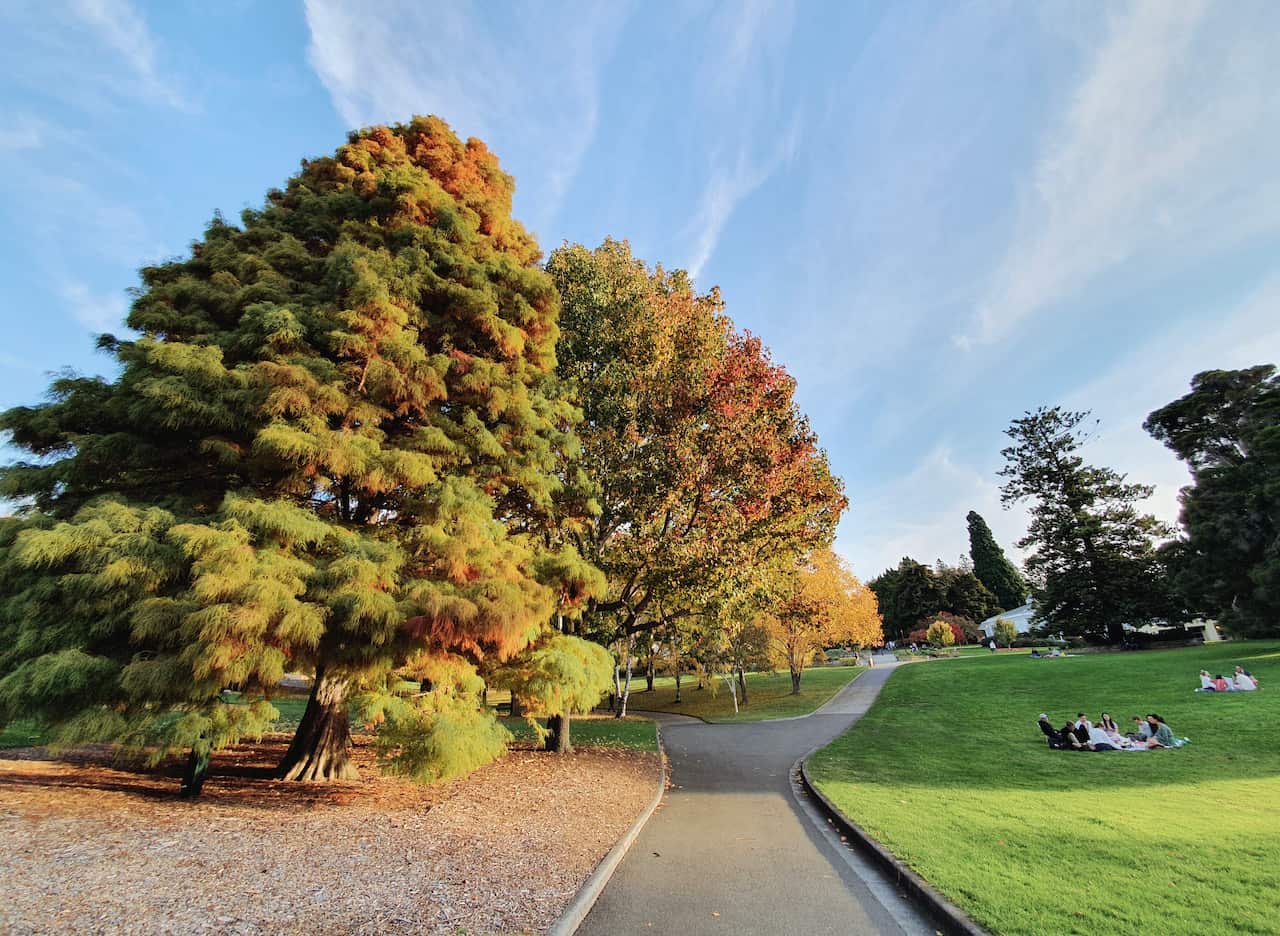 Royal Tasmanian botanical garden