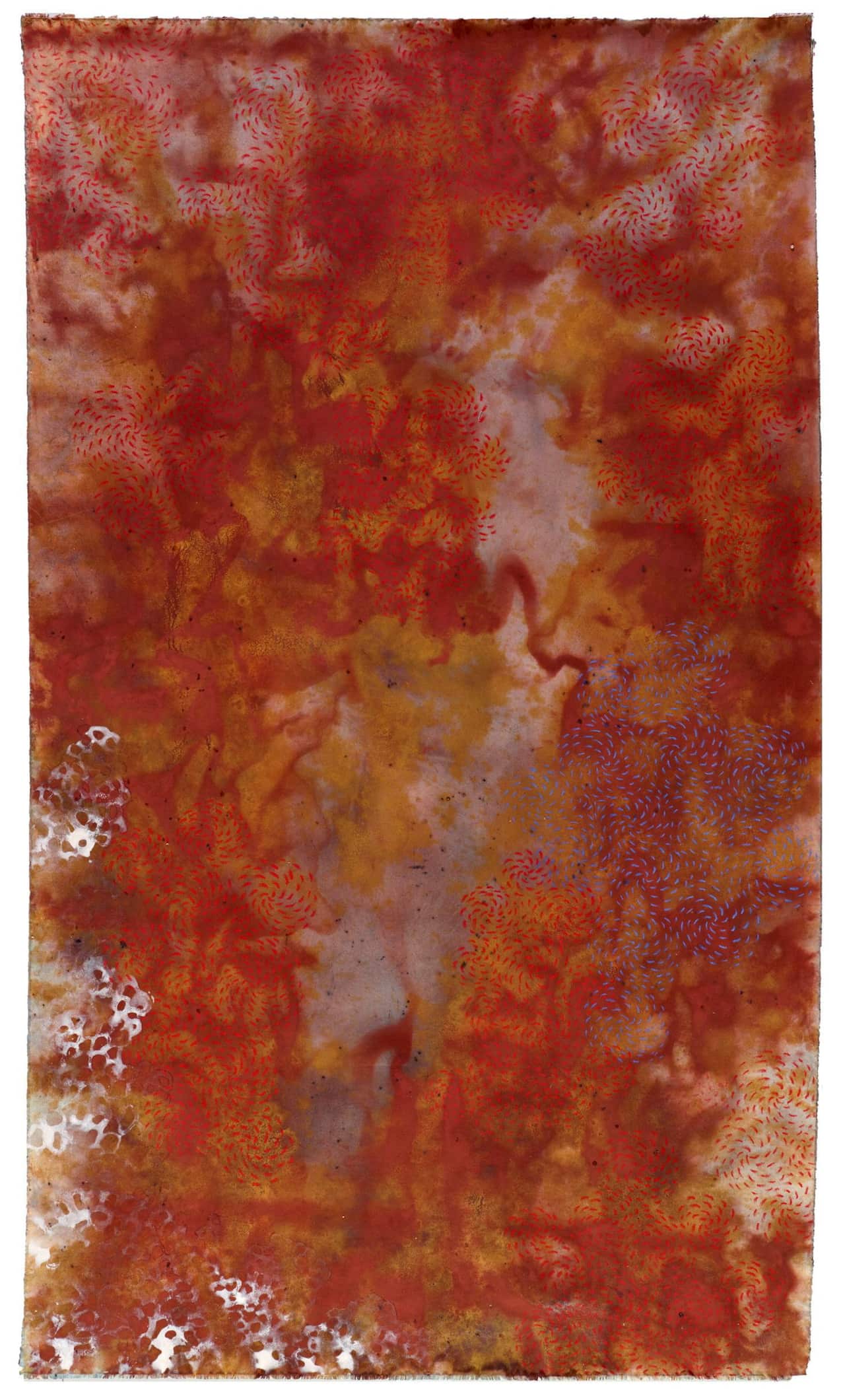 Judy Watson. 'deadly bloom' 1997. pigment and pastel on canvas, 194 x 114 cm. Art Gallery of New South Wales, gift of Amanda Love 2011, donated through the Australian Government's Cultural Gifts Program 