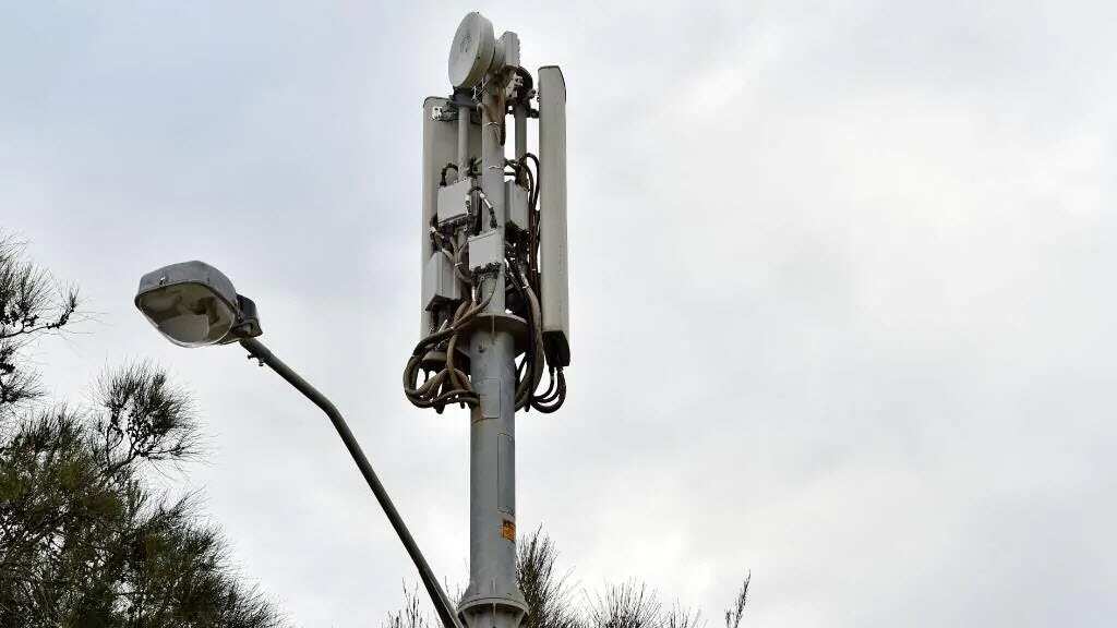 Manly towers are being upgraded for 5G, including this one at Tania Park, Balgowlah.