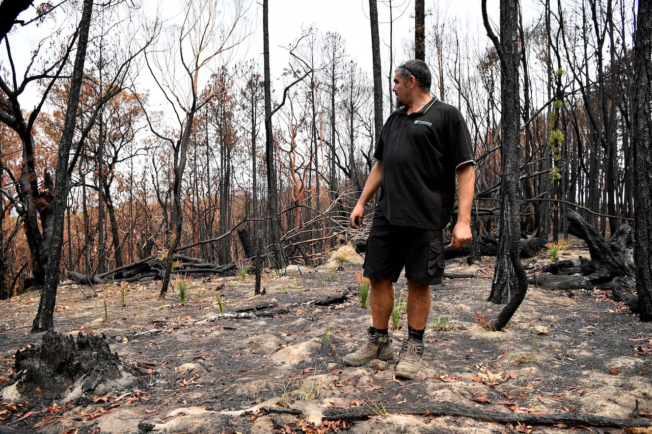 Kelvin Johnson speaks about native regrowth among bushland destroyed by bushfires in Kulnura.