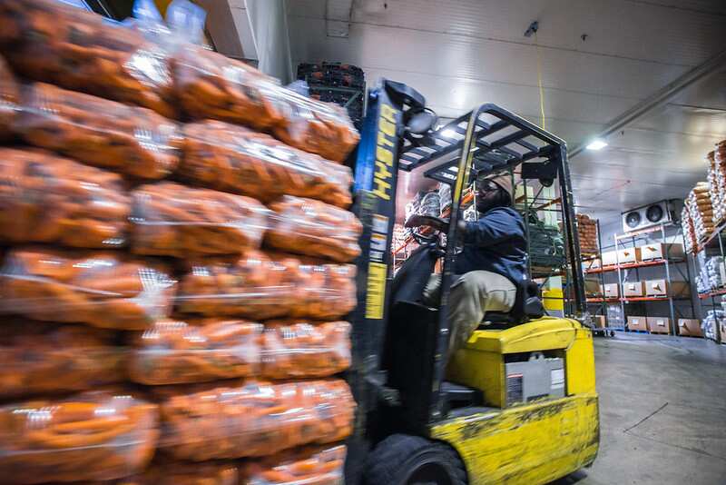 The human and financial cost of forklift-related incidents for employees, industry and thecommunity is    substantial. 