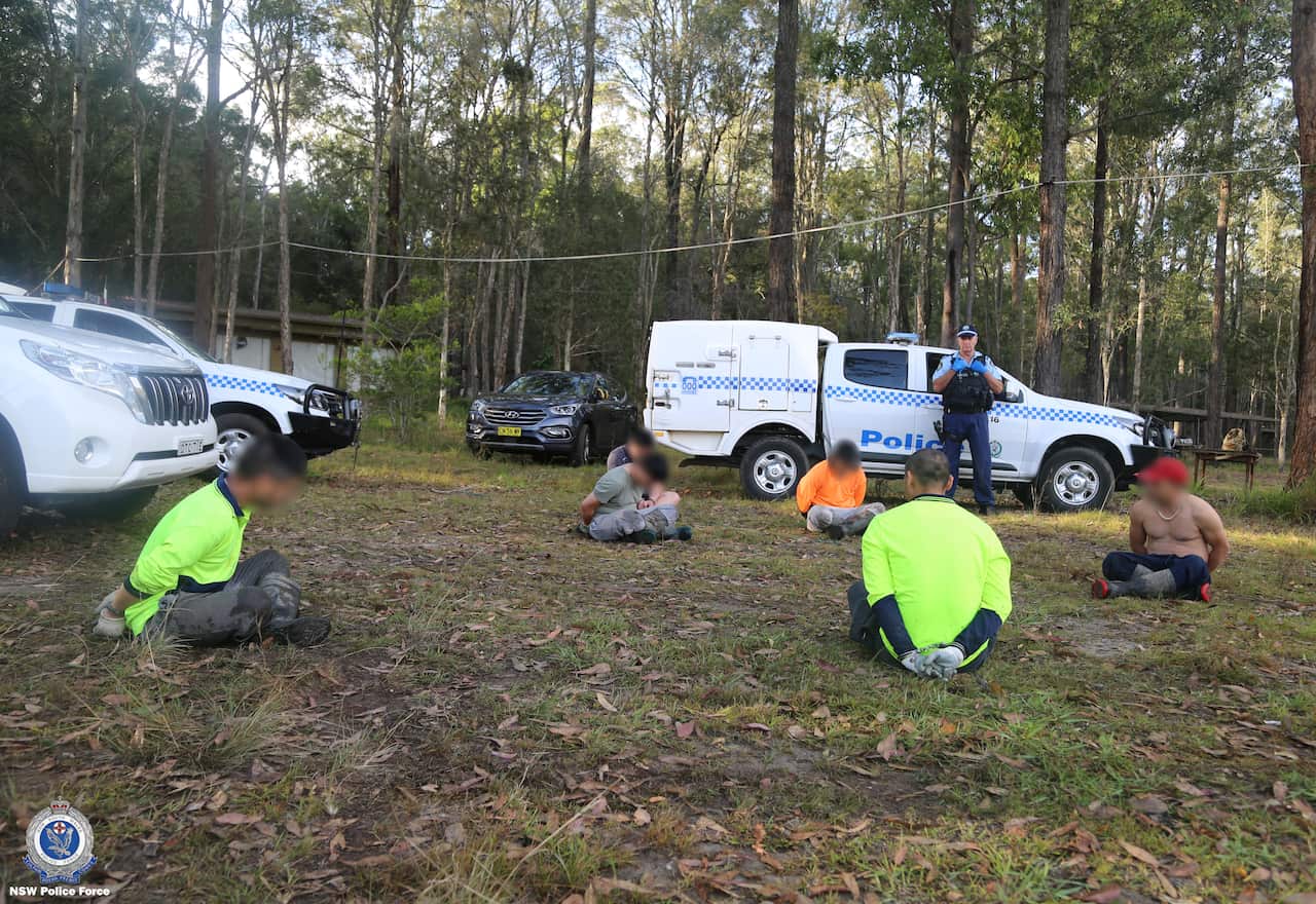 Six men, all Vietnamese nationals, were arrested at a property in Minimbah on Thursday