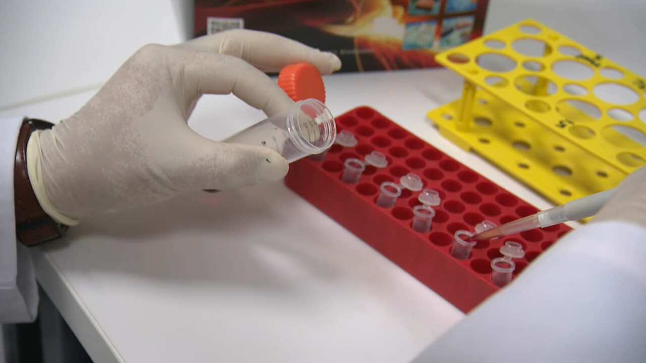 Scientists at Melbourne's Hudson Institute of Medical Research have undertaken the groundbreaking work.