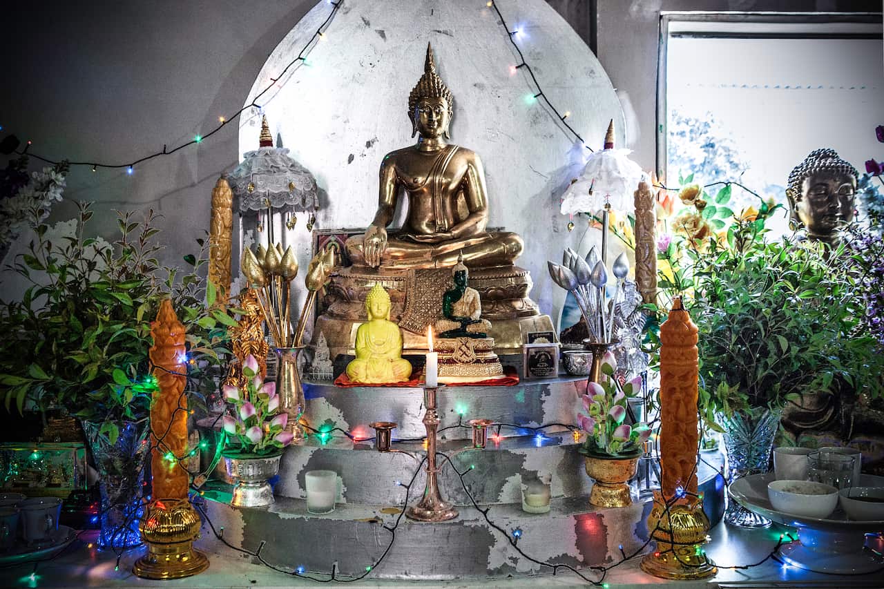 buddhist-monk-moonienda-bendigo-francesca-rizzoli-sbs