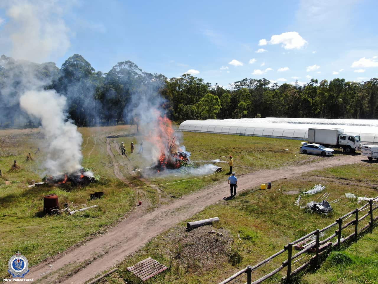 more than 7700 cannabis plants were seized in two more properties, in Melinga and Moorland.