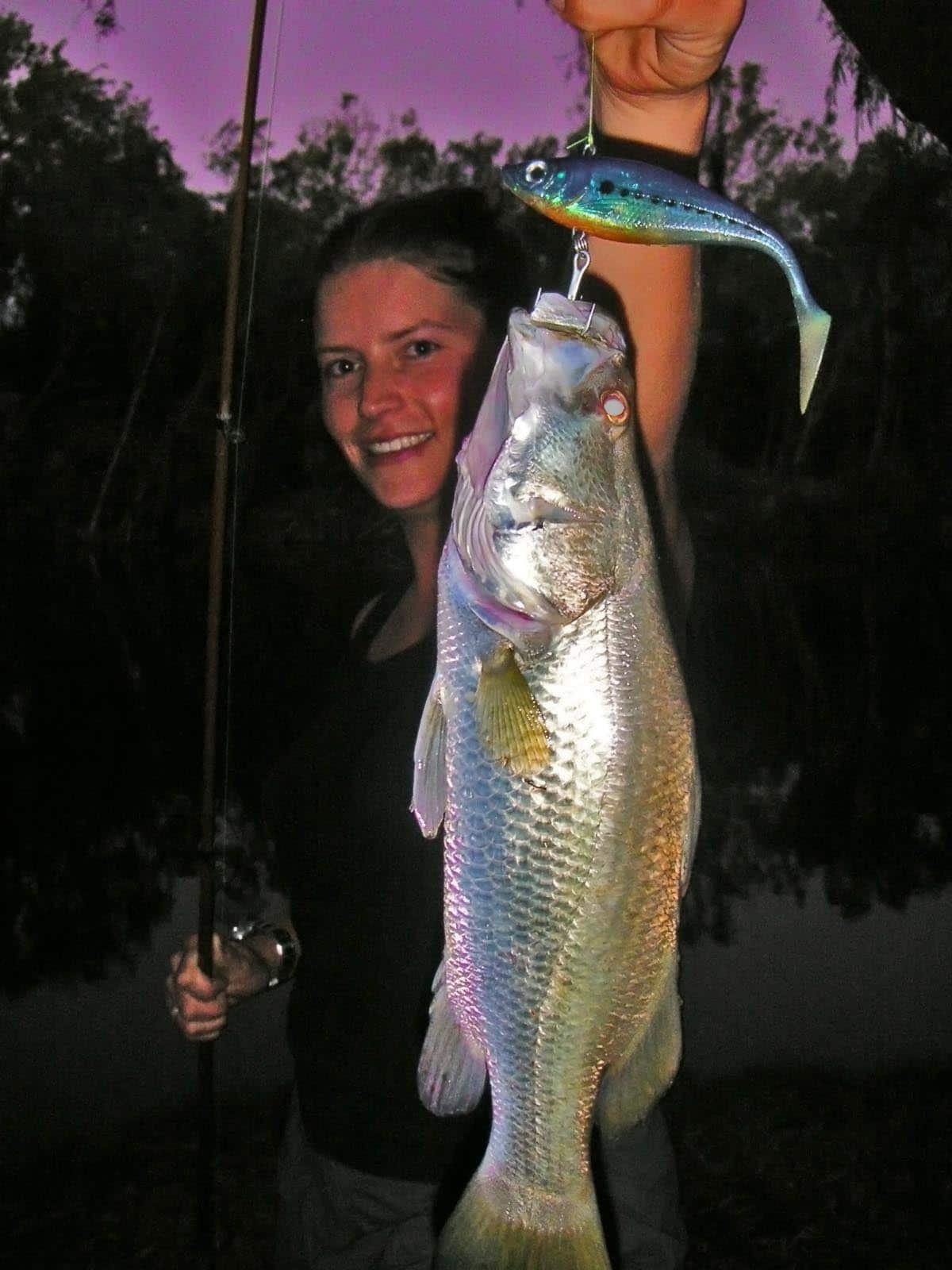 Barramundi, Arnhem lands
