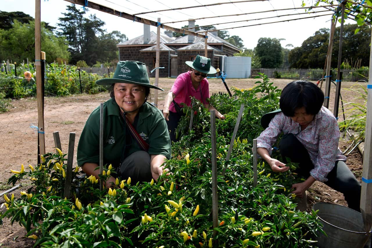 Barat Ali Batoor work for 'Heartlands' focuses on the culturally rich lives of Burmese Karen refugees living in Werribee and at Nhill, in western Victoria. (Supplied)