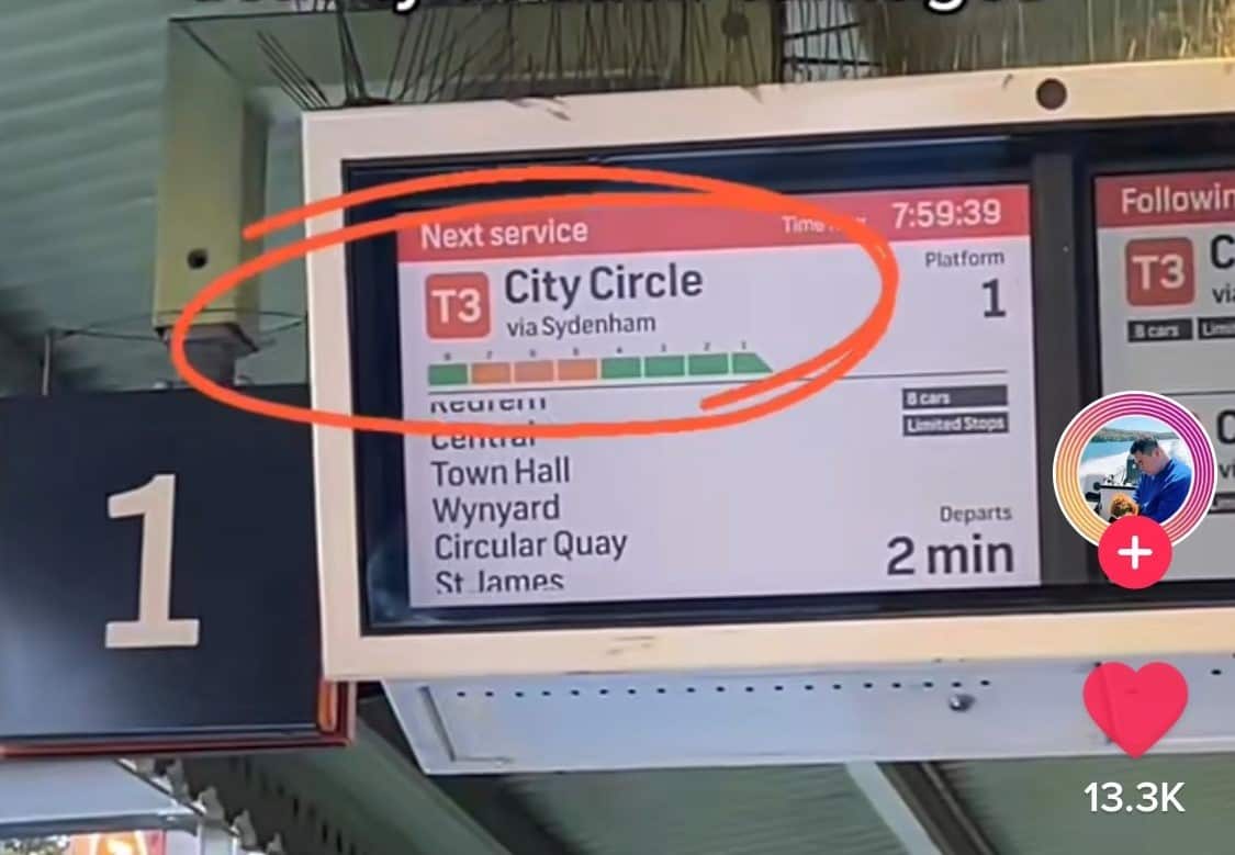 Train platform screeen