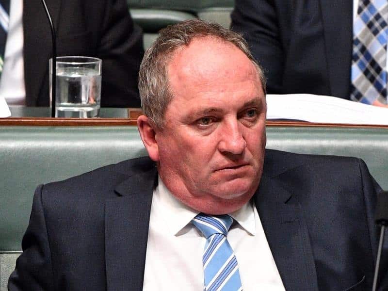Former deputy prime minister Barnaby Joyce