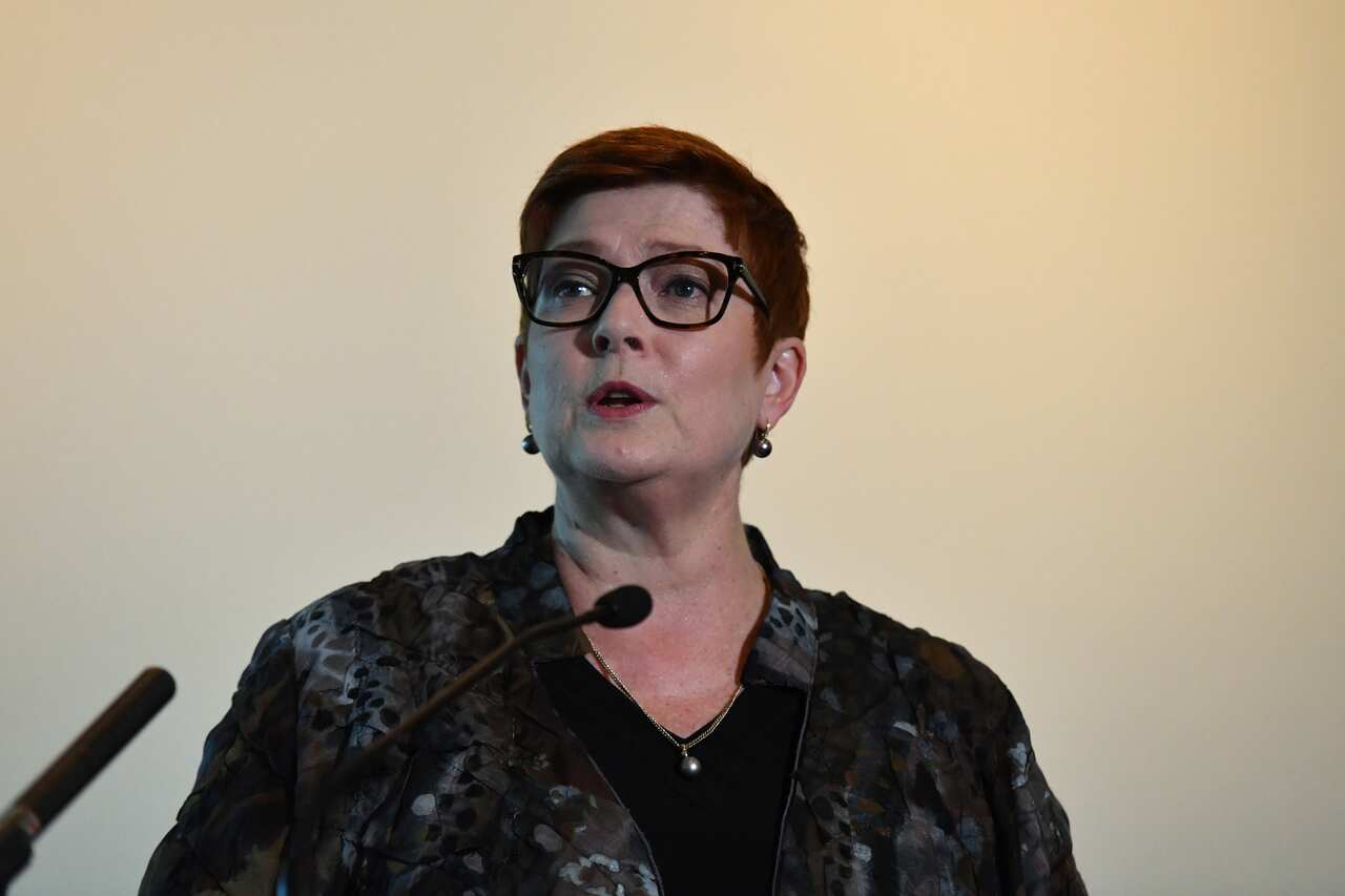 Minister for Foreign Affairs Marise Payne speaks at an Australian Council for International Development event at Parliament House.