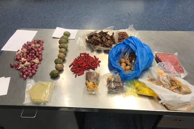 A Vietnamese woman had her visa cancelled for trying to bring pork to Australia.