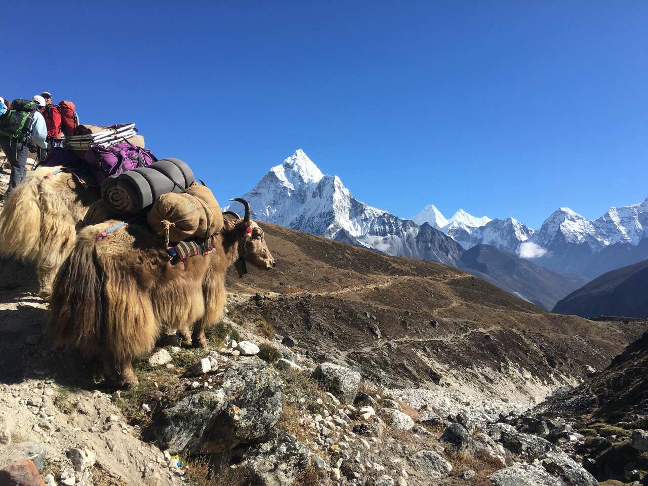 Eyes4Everest/Facebook