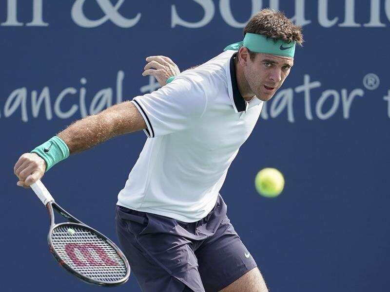 Juan Martin del Potro, of Argentina, returns to Hyeon Chung.