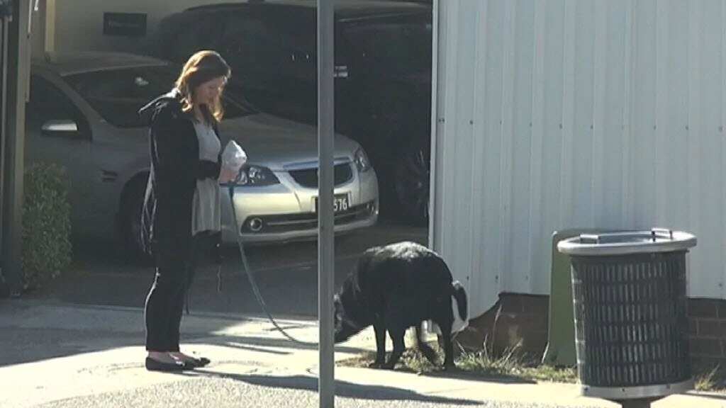 A screengrab from the Seven Network footage showing an Emma Husar staff member taking the MP’s dog for a walk.