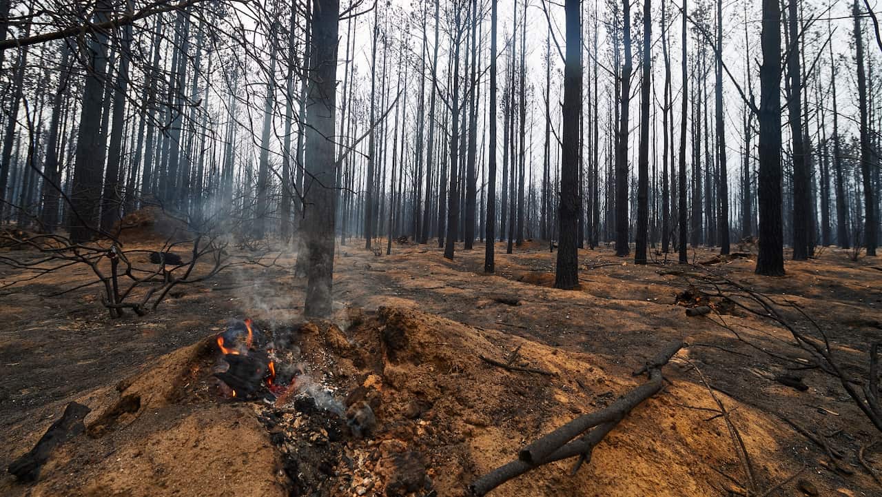 difficult’ bushfire season ahead