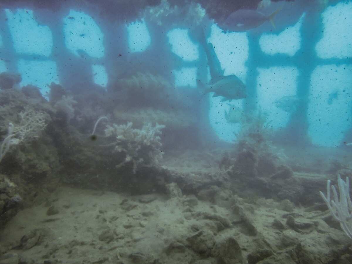 Artefacts from the shipwreck have been retrieved and studied for insights into what happened in 1937.