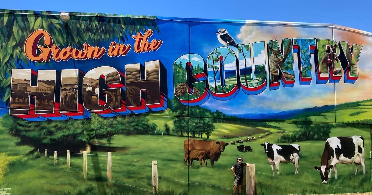 Murals for the Showgrounds in Crows Nest, QLD. 