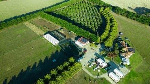 Omaru farm in 2022_Philip Island