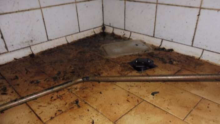 Breaches at Saigon Queen 