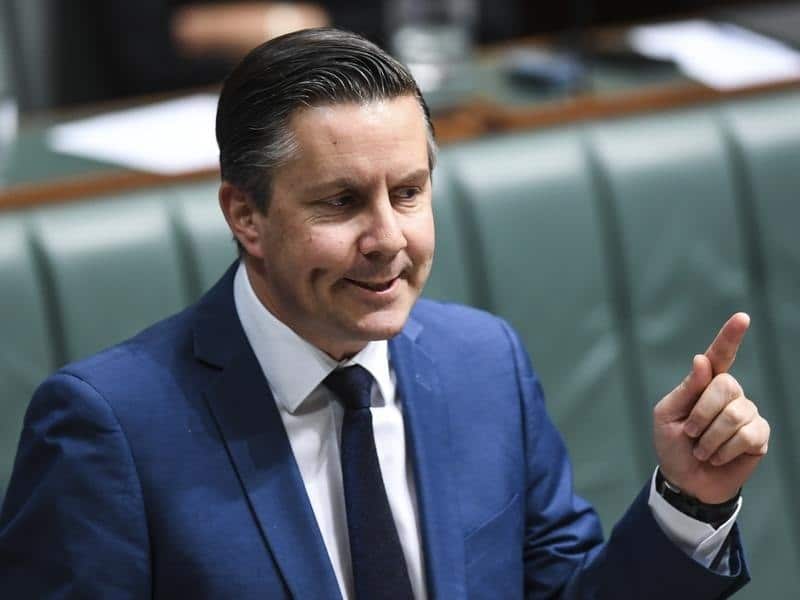 Labor energy spokesman Mark Butler speaks during Question Time .