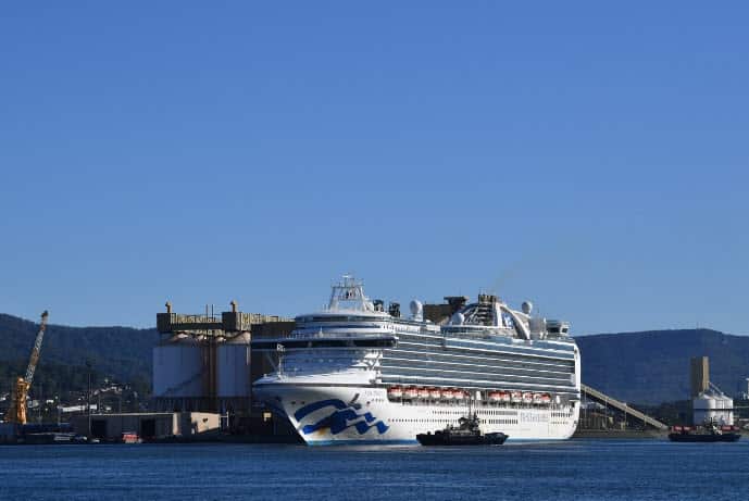The Ruby Princess cruise ship has docked at Sydney's Port Kembla.