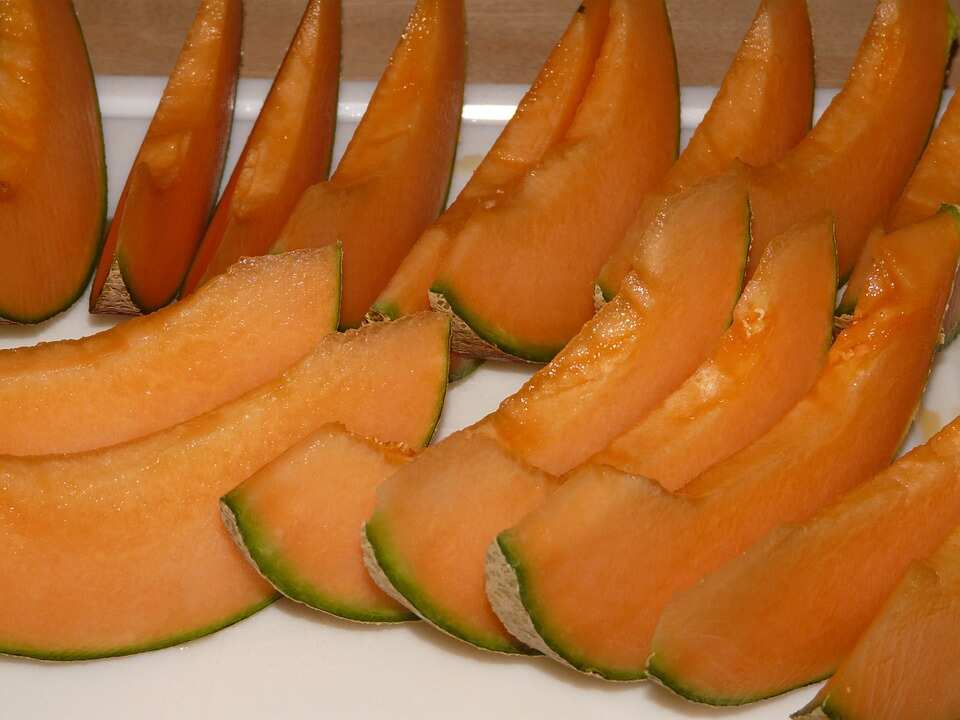 Salmonella outbreak fears over rockmelon, Food Standards Australia investigates