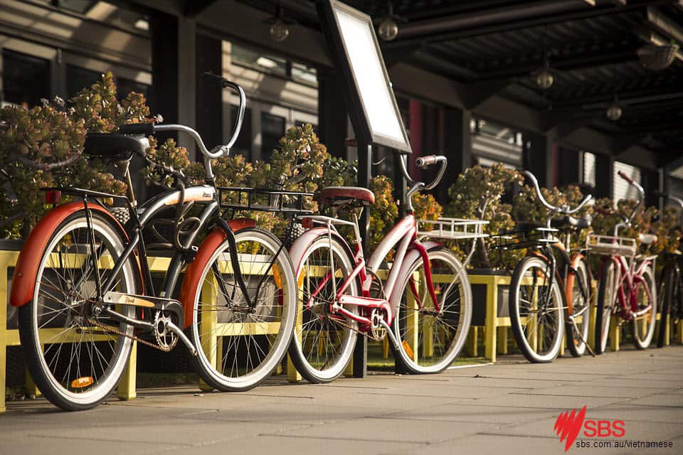 vietnamese, bicycle