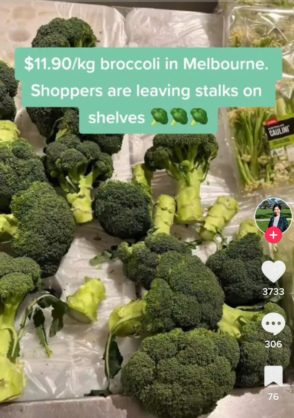 被斬首的西蘭花