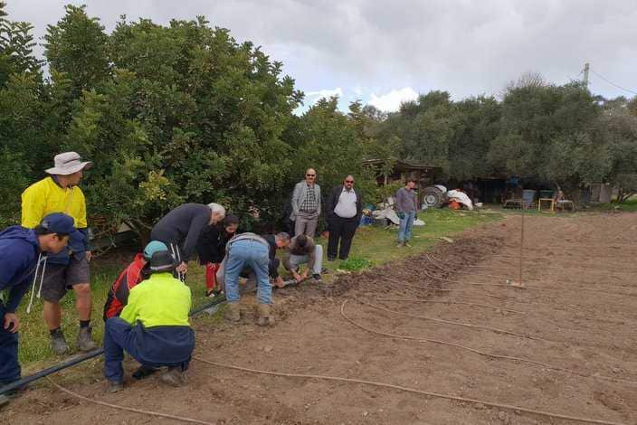 Community garden, Wagga Wagga