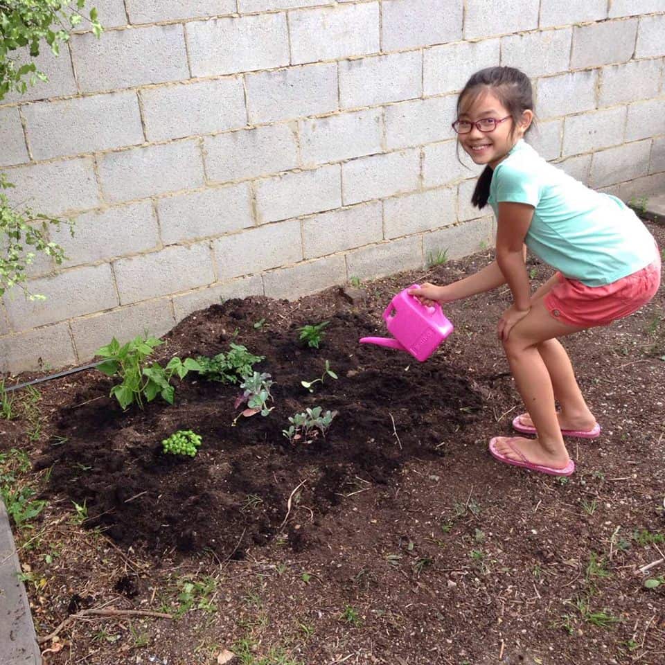 Tự trồng rau và ăn rau của mình trồng là một trải nghiệm thú vị với Susie