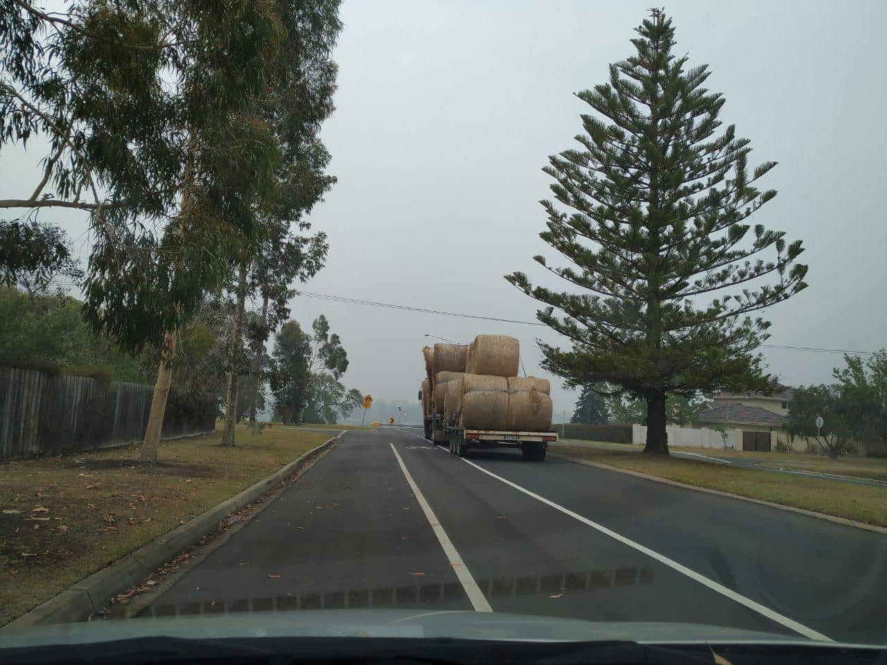 علوفه اهدایی توسط کشاورزان مناطق مجاور
